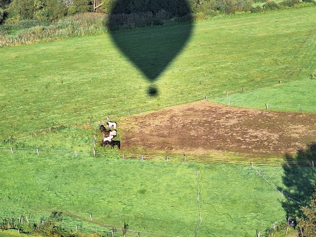 20240921_0933568340774630350972884